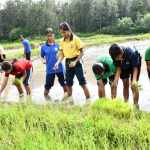 Visit to paddy field